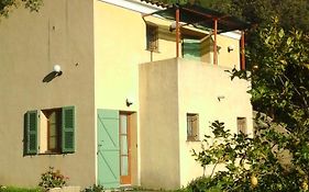A Casa Di L'Alivu