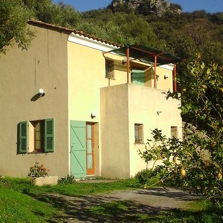 Bed and Breakfast A Casa Di L'Alivu Patrimonio Exterior foto