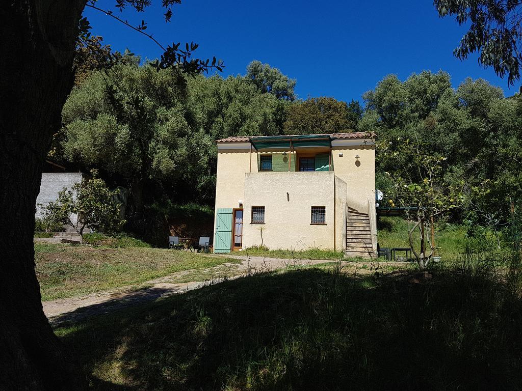 Bed and Breakfast A Casa Di L'Alivu Patrimonio Exterior foto