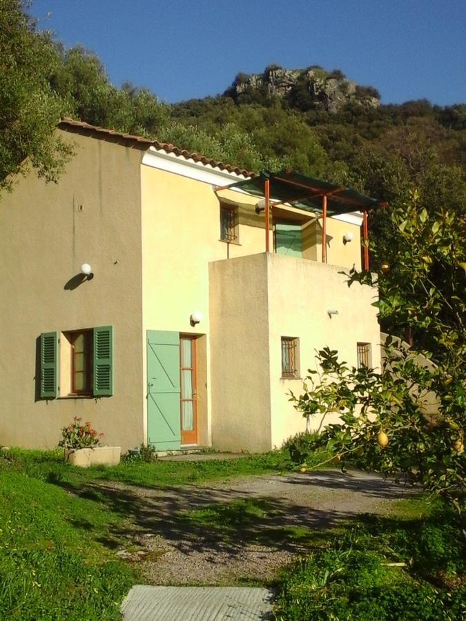 Bed and Breakfast A Casa Di L'Alivu Patrimonio Exterior foto